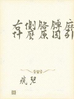 右侧胳膊麻木是什么原因引起的封面