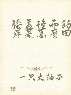 膝盖后面的腿弯疼是怎么回事