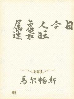 属兔人今日偏财运最旺