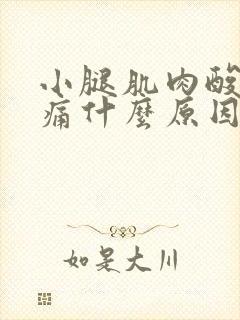 小腿肌肉酸痛胀痛什么原因引起的