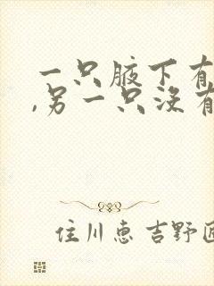 一只腋下有异味,另一只没有