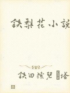 铁梨花小说