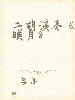 二胡演奏《二泉映月》