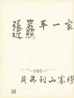 张严平一家三口近照