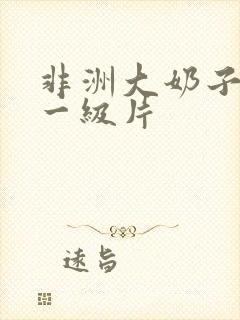 非洲大奶子久久一级片