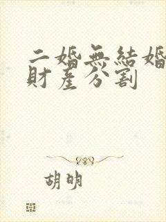 二婚无结婚证的财产分割