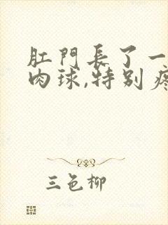 肛门长了一个硬肉球,特别疼