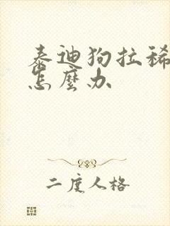 泰迪狗拉稀带血怎么办