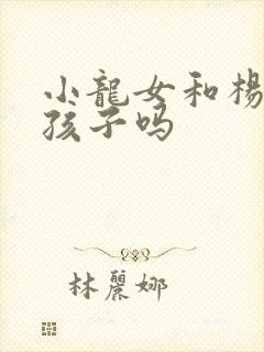 小龙女和杨过有孩子吗封面