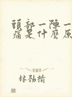 头部一阵一阵的痛是什么原因封面