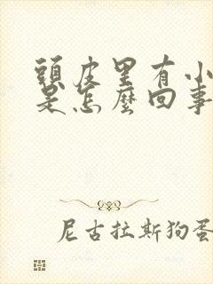 头皮里有小疙瘩是怎么回事