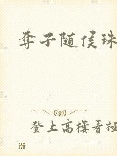 夺子随侯珠封面