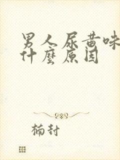 男人尿黄味重是什么原因封面