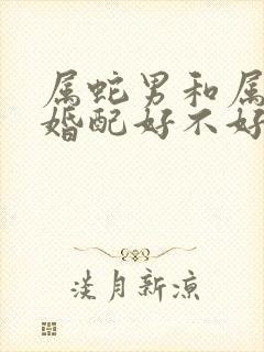 属蛇男和属蛇女婚配好不好