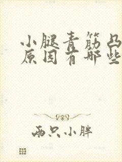 小腿青筋凸起的原因有哪些