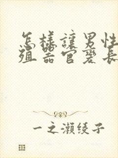 怎样让男性的生殖器官变长