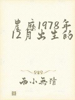 农历1978年12月出生的命运封面
