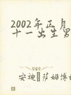 2002年正月十一出生男孩命运