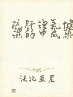 疏肝理气健脾祛湿的中成药