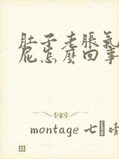 肚子老胀气老放屁怎么回事封面