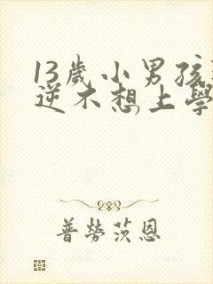 13岁小男孩叛逆不想上学怎么办