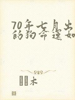 70年七月出生的狗命运如何
