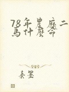 78年农历二月马什么命