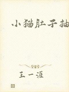 小猫肚子抽搐封面