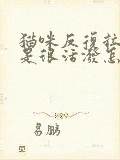 猫咪反复拉稀但是很活泼怎么回事