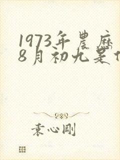 1973年农历8月初九是什么命