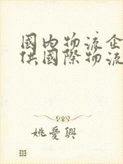 国内物流企业提供国际物流服务