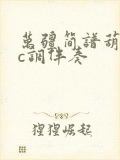 万疆简谱葫芦丝c调伴奏封面