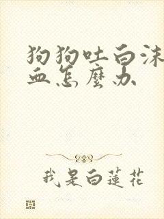 狗狗吐白沫又拉血怎么办