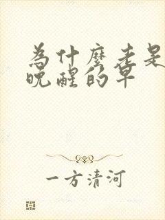 为什么老是睡得晚醒的早封面