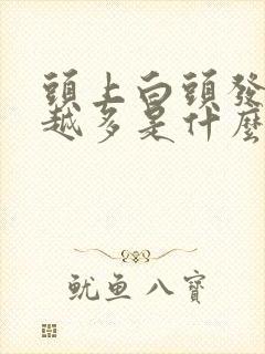 头上白头发越来越多是什么原因