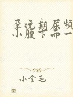 孕晚期尿频感觉小腹下面一直有尿意怎么回事