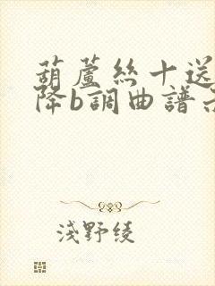 葫芦丝十送红军降b调曲谱示范封面