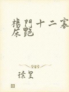 杨门十二寡妇肉床艳