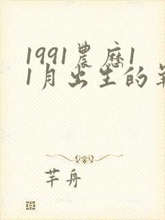 1991农历11月出生的羊命运