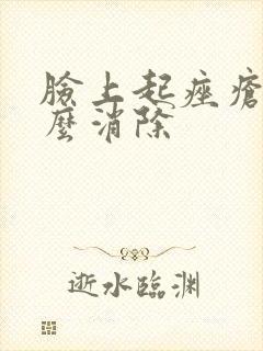 脸上起痤疮该怎么消除