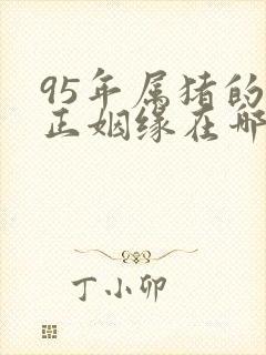 95年属猪的真正姻缘在哪一年封面