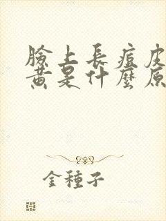 脸上长痘皮肤暗黄是什么原因