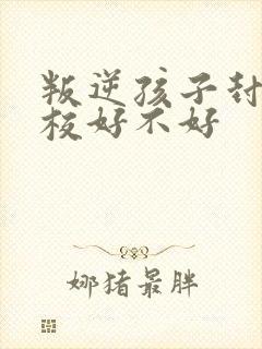 叛逆孩子封闭学校好不好封面