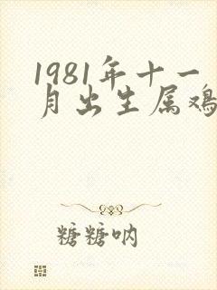 1981年十一月出生属鸡命运