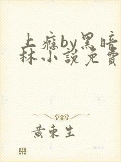 上瘾by黑暗森林小说免费