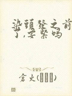 染头发之前洗头了,要紧吗