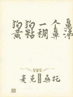 狗狗一个鼻孔流黄粘稠鼻涕怎么办