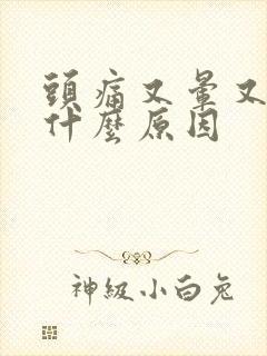 头痛又晕又想吐什么原因