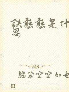 铁憨憨是什么意思封面