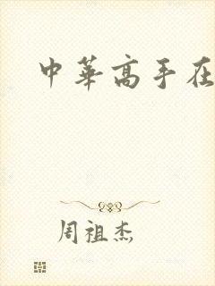 中华高手在异世